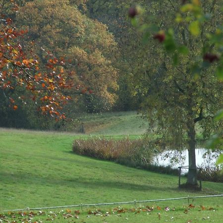 Woodlands Bed & Breakfast Barnt Green Exteriér fotografie