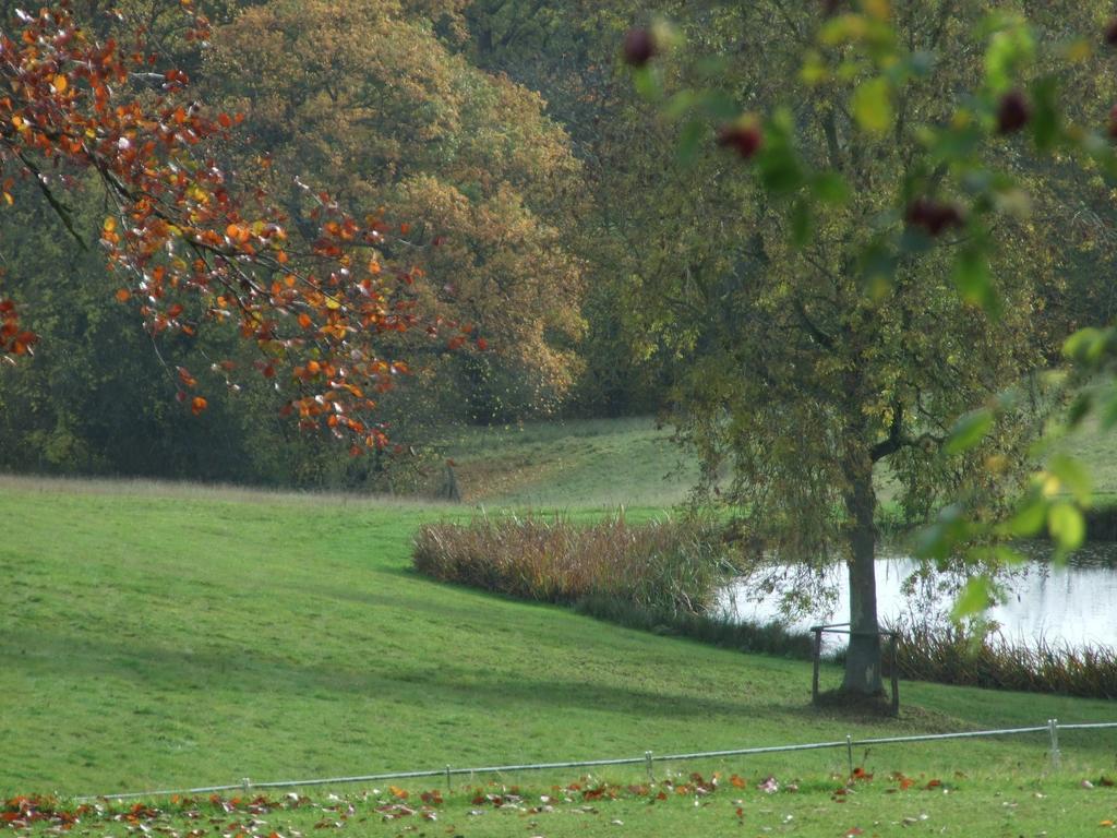 Woodlands Bed & Breakfast Barnt Green Exteriér fotografie